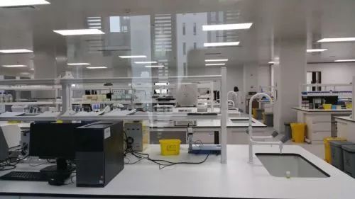 新舊動能轉換丨生物技術研發中心投入使用 市北生物科技創新集聚效應初步顯現